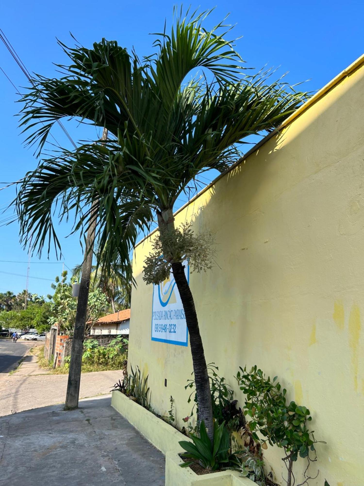 Pousada Rincao Paraiso Barreirinhas Esterno foto